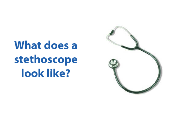 question copy 2.png question copy 2.png